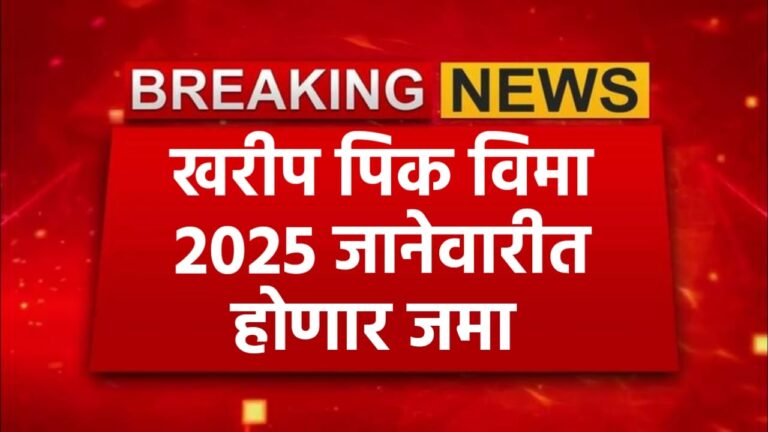 खरीप पीकविम्याचा परतावा लवकरच मिळणार! कृषी विभागाकडून कार्यवाही अंतिम टप्प्यात