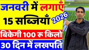 जनवरी में करें इन टॉप सब्जियों की खेती और साल भर कमाएं लाखों का मुनाफा!