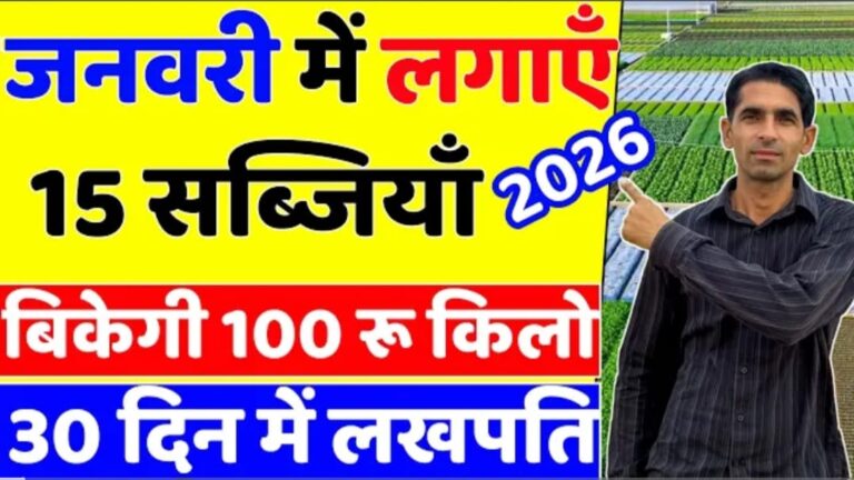 जनवरी में करें इन टॉप सब्जियों की खेती और साल भर कमाएं लाखों का मुनाफा!